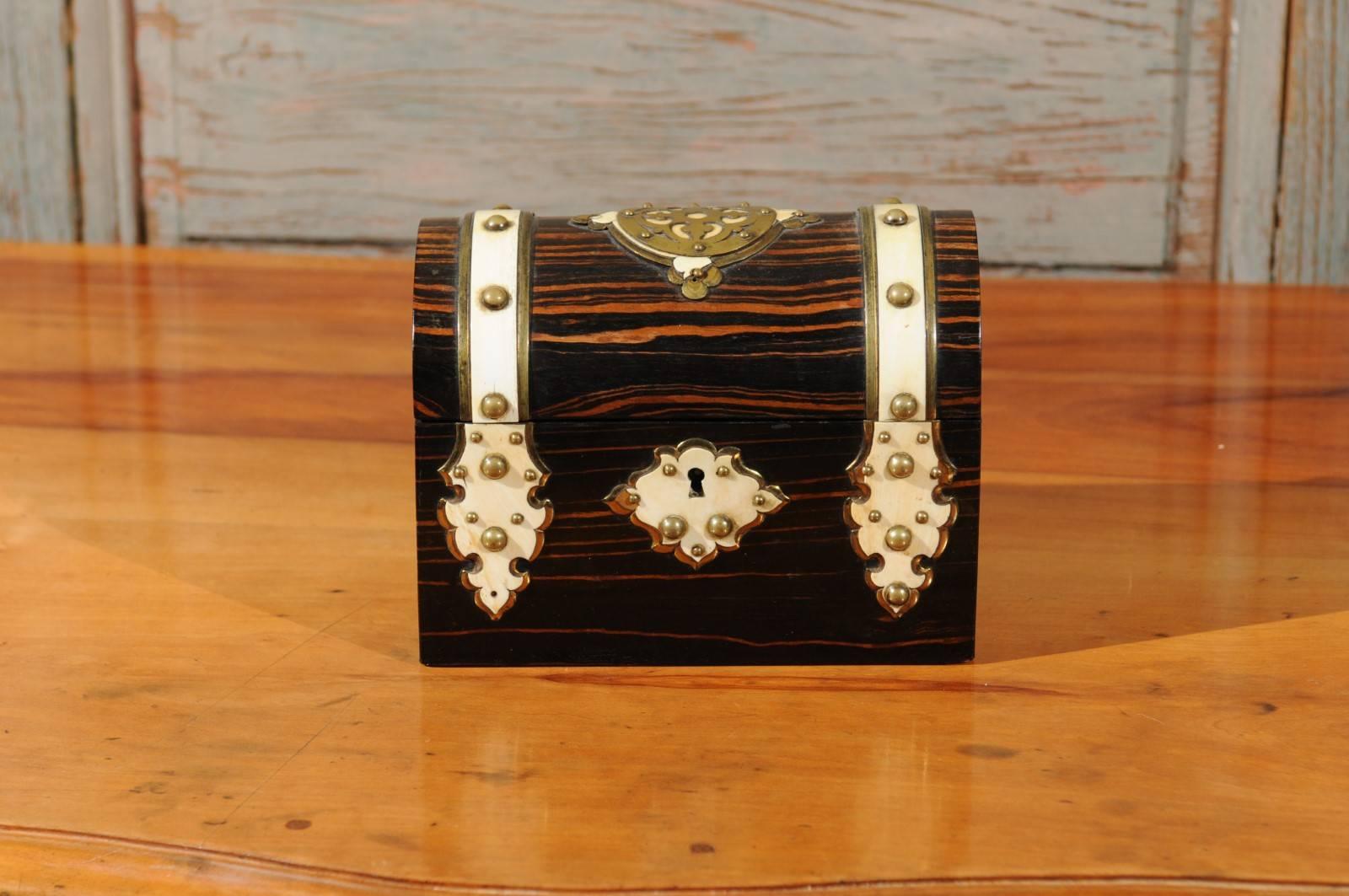 19th century English brass and bone banded calamander box with dome top.