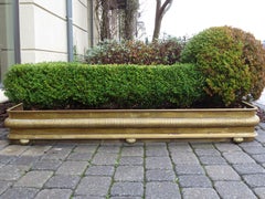 19th Century English Brass Fireplace Fender with Melon Feet