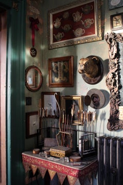 19th Century English Bulldog Taxidermy Head Mount Country House