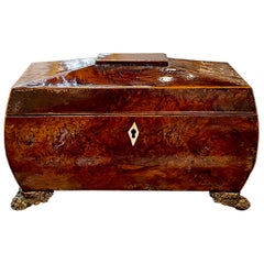 19th Century English Burl Wood Tea Caddy