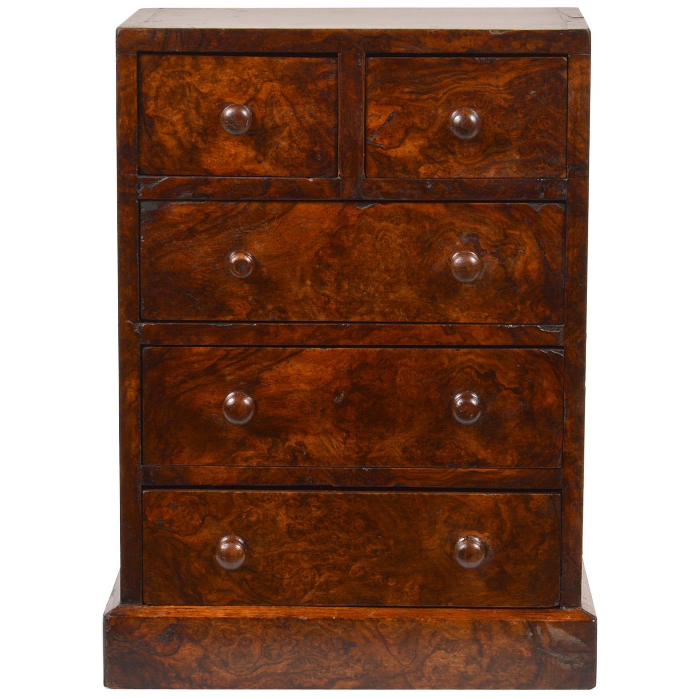 19th Century English Burled Walnut 5-Drawer Wellington Style Tabletop Chest