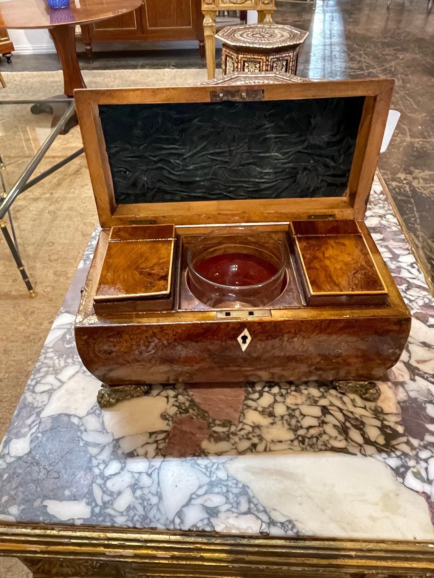 Englische Teedose aus Wurzelholz aus dem 19. Jahrhundert im Angebot 3