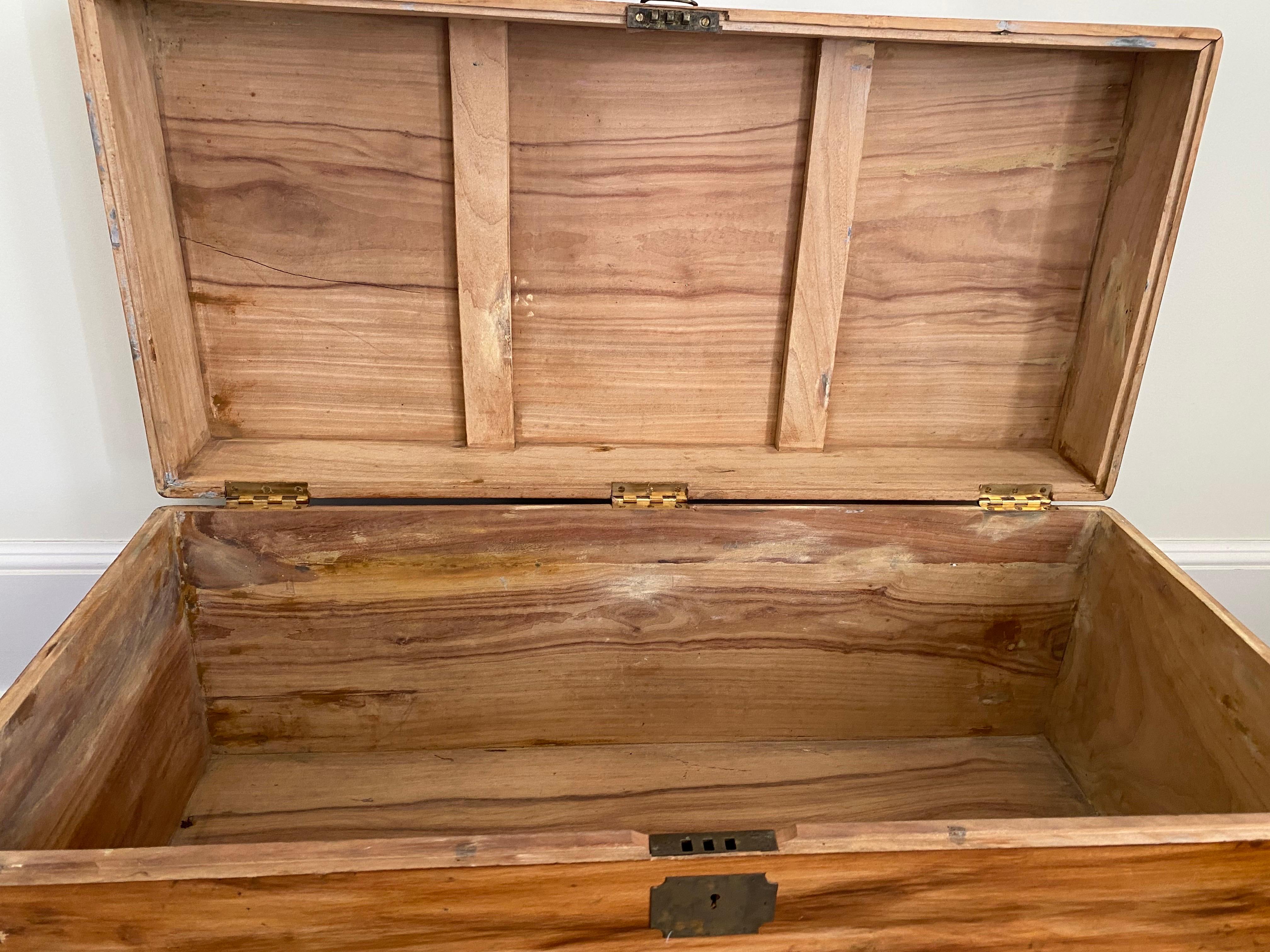 19th Century English Camphor Chest 6