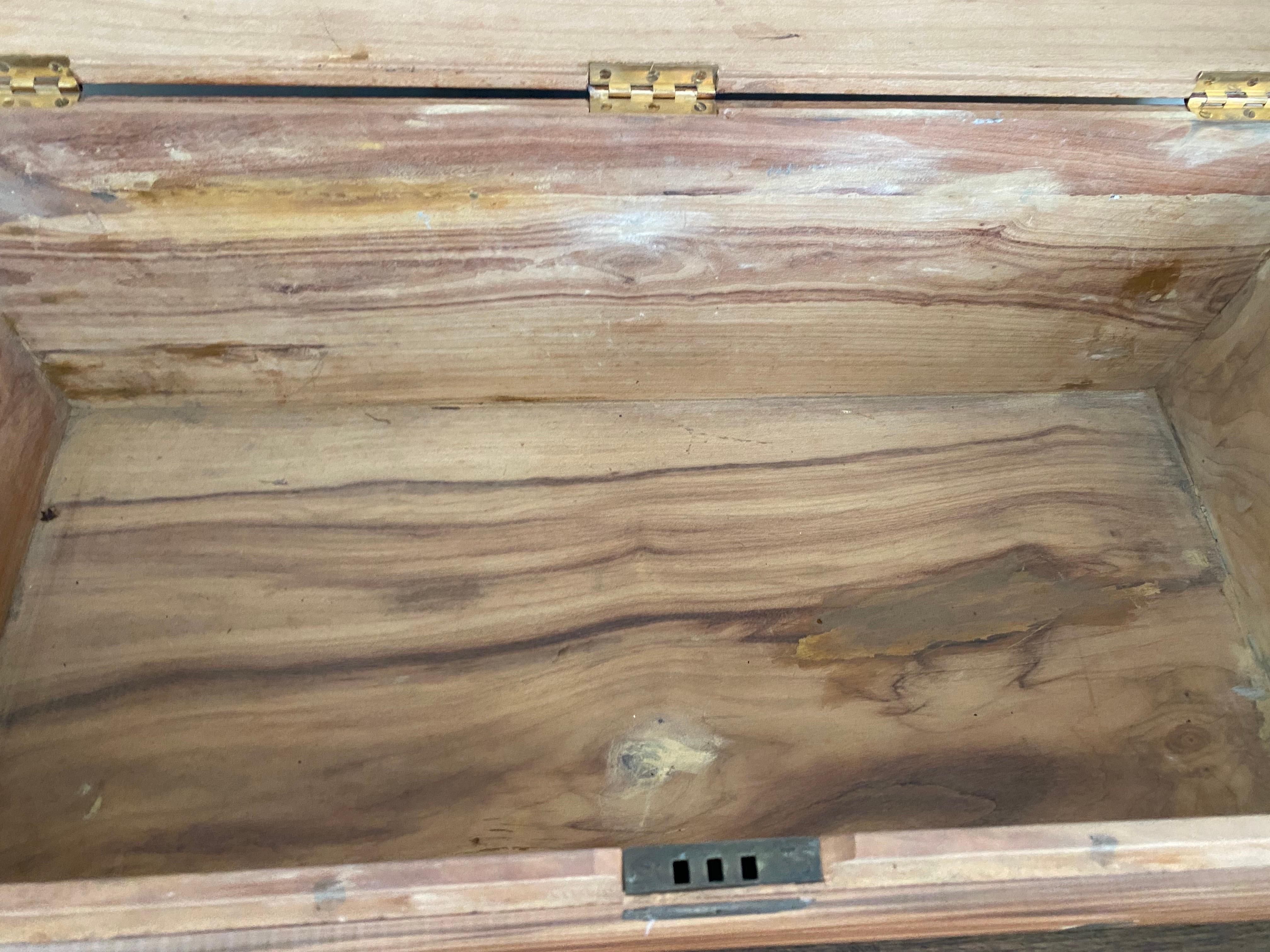 19th Century English Camphor Chest 10