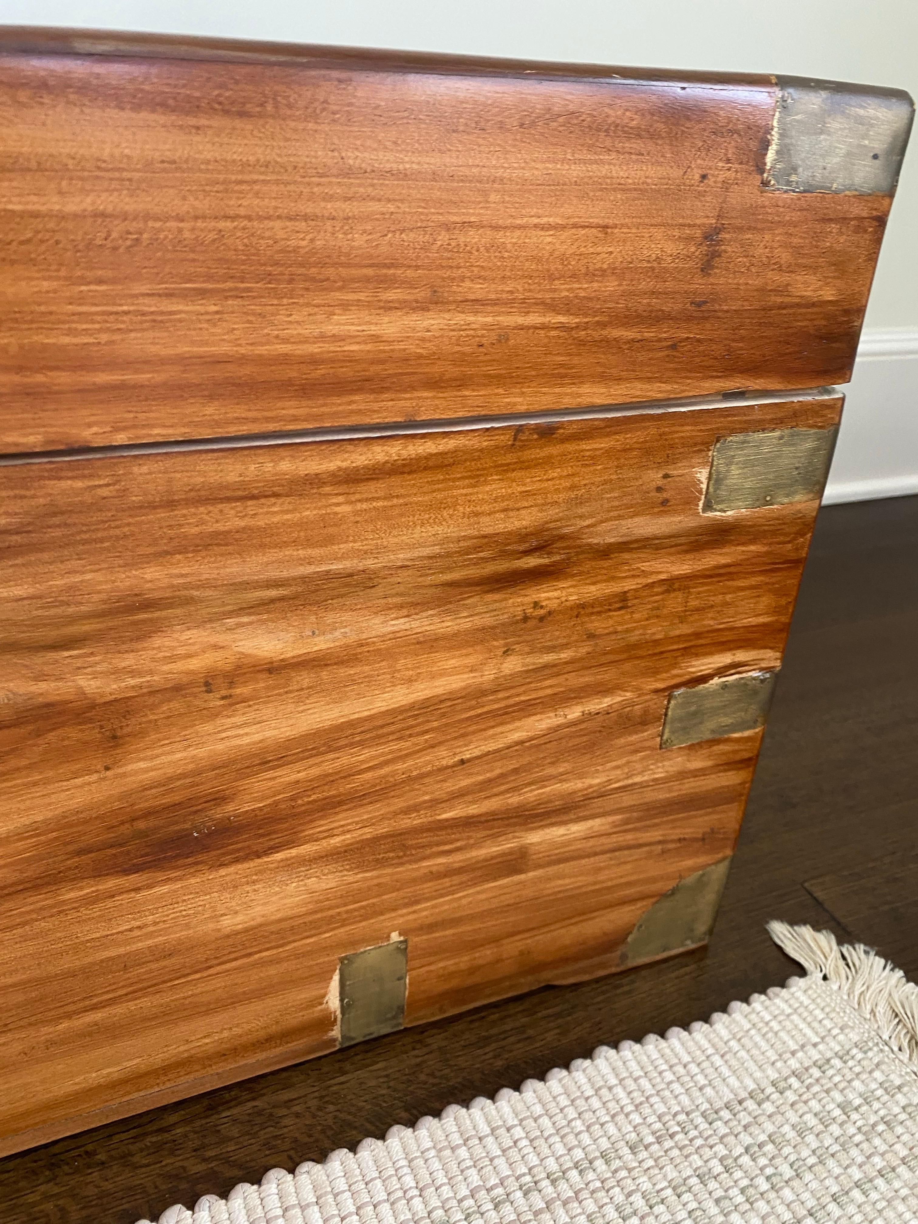 19th Century English Camphor Chest 4