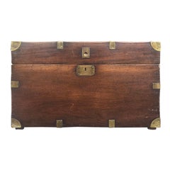 19th Century English Camphor Wood Trunk, Great Scale