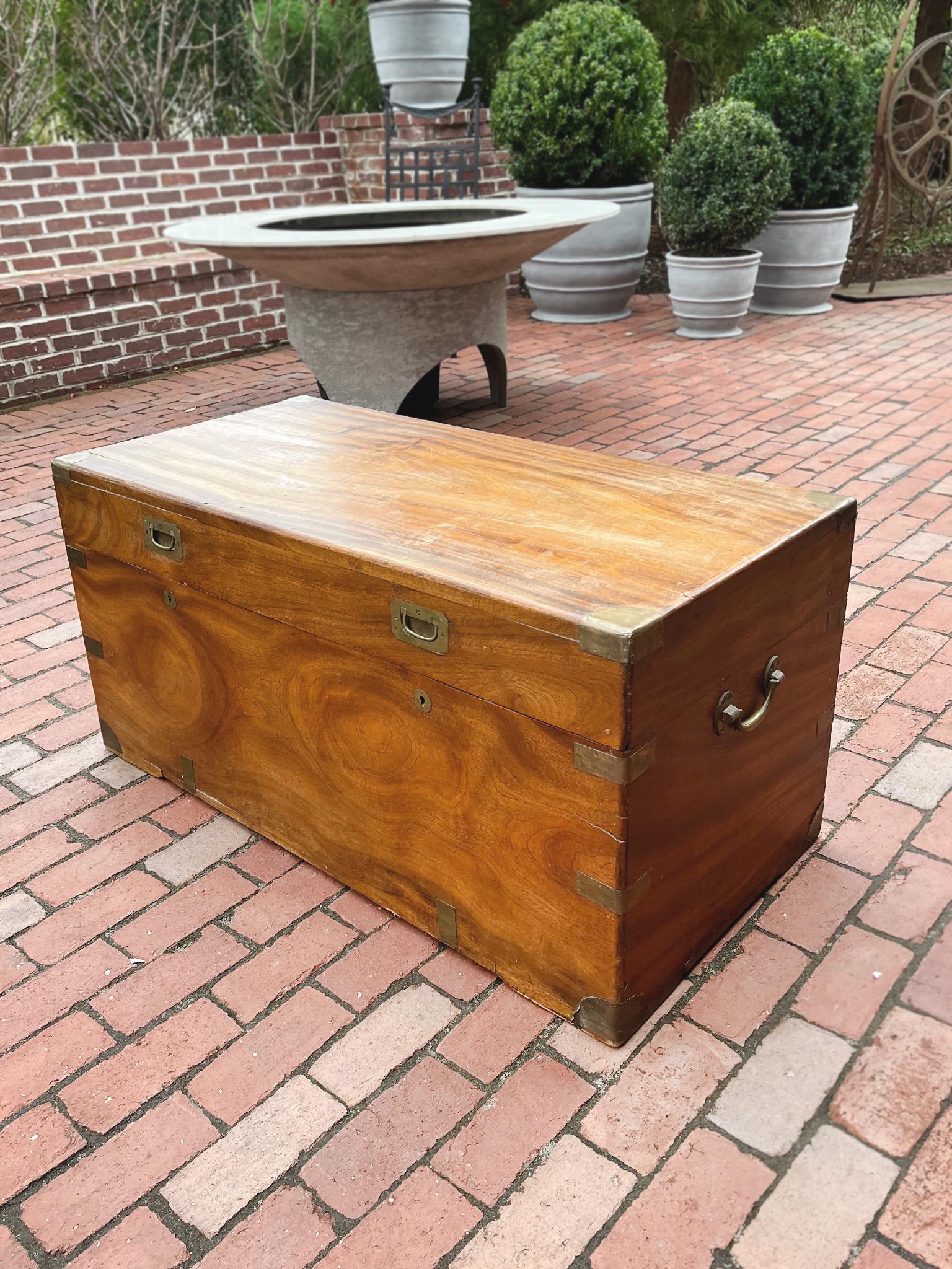 19th Century English Camphorwood Chest For Sale 1