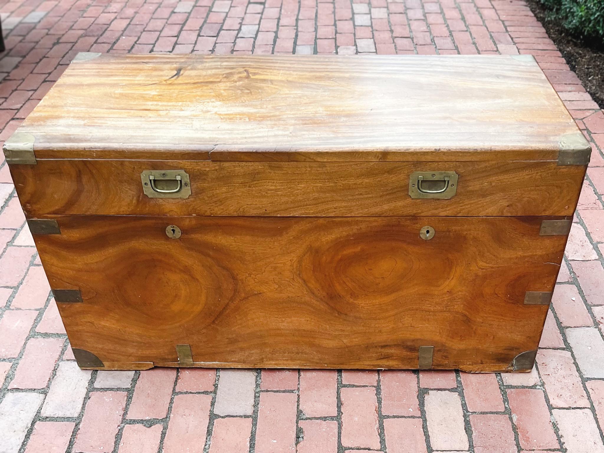 19th Century English Camphorwood Chest For Sale 2