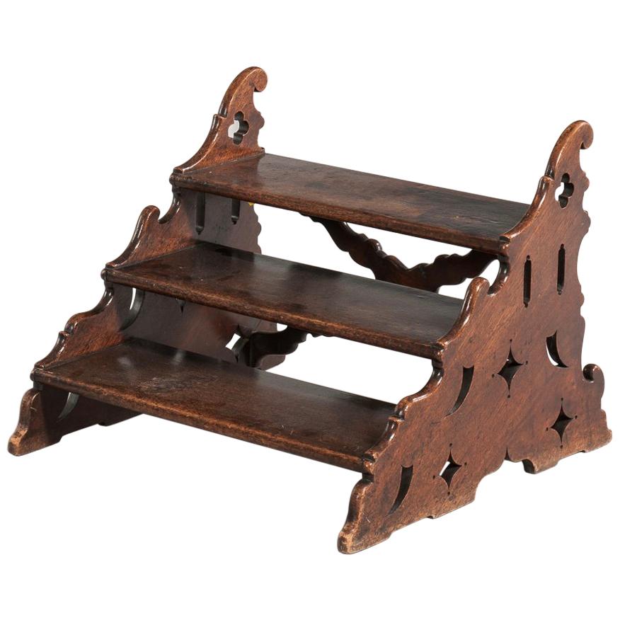 19th Century English Carved Mahogany Library Steps
