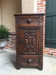 19th century English Carved Oak Renaissance Gothic Cabinet Bronze Stand Bookcase