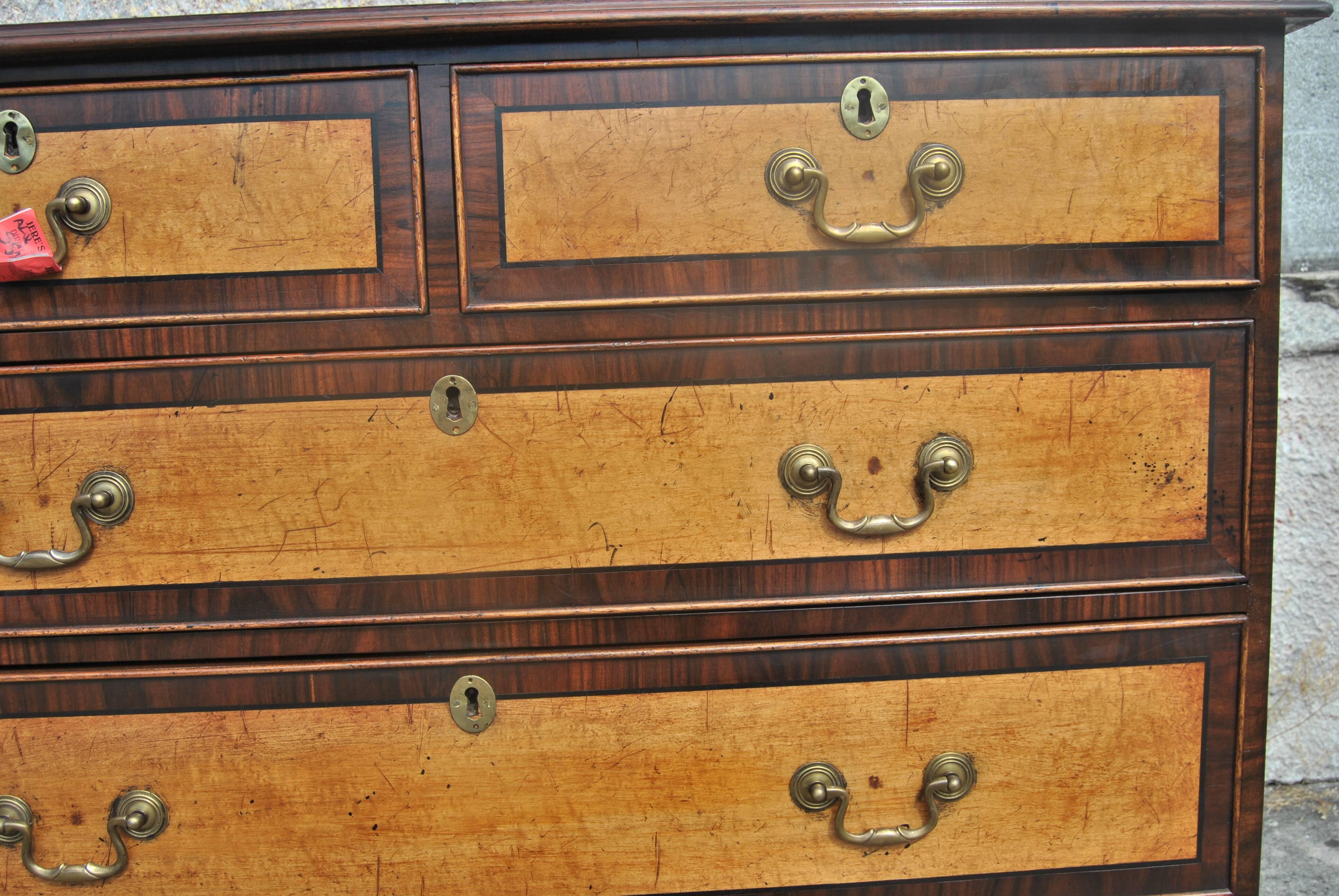 19th Century English Chest in Mahogany, Maple and Rosewood In Excellent Condition In Savannah, GA