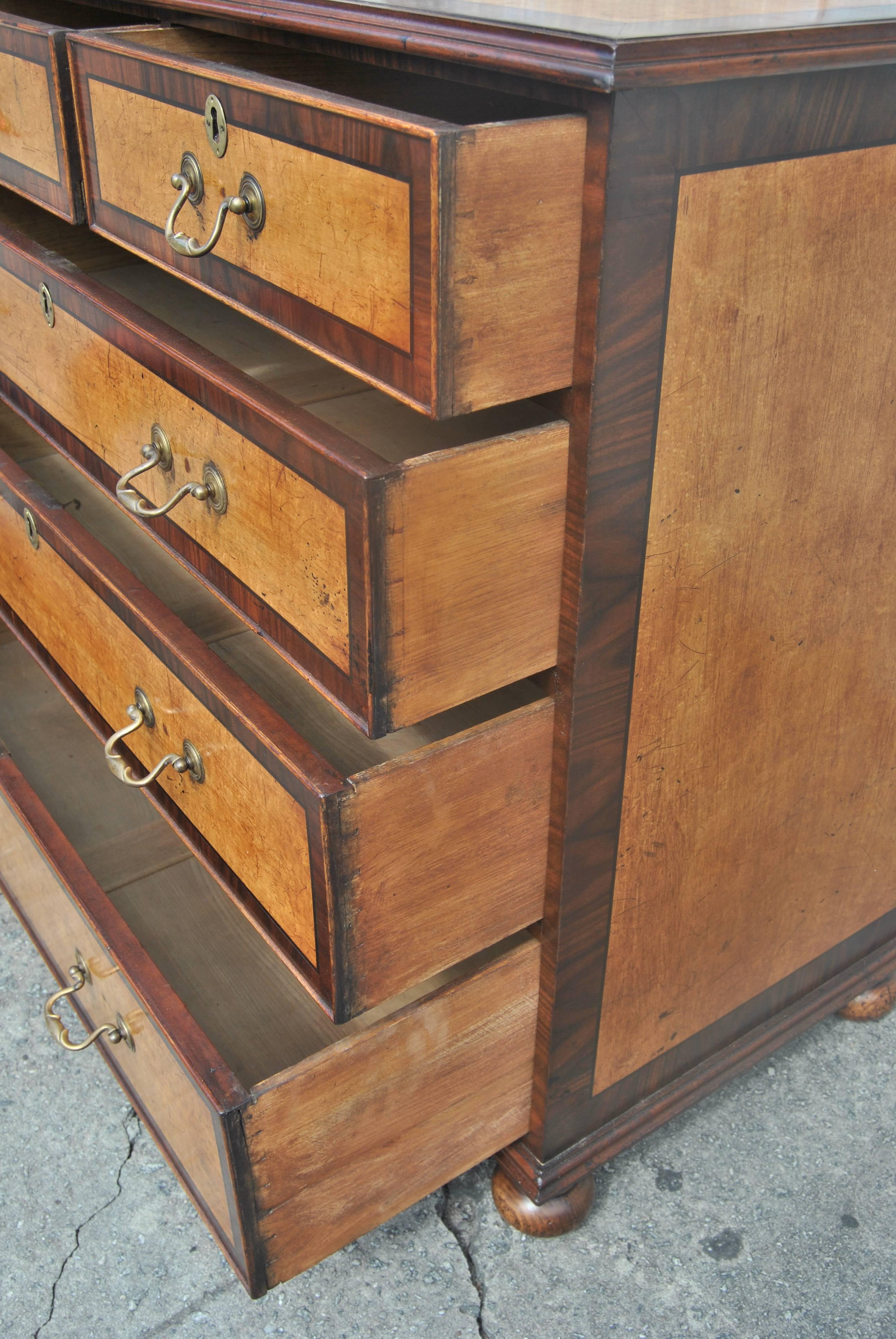 19th Century English Chest in Mahogany, Maple and Rosewood 1