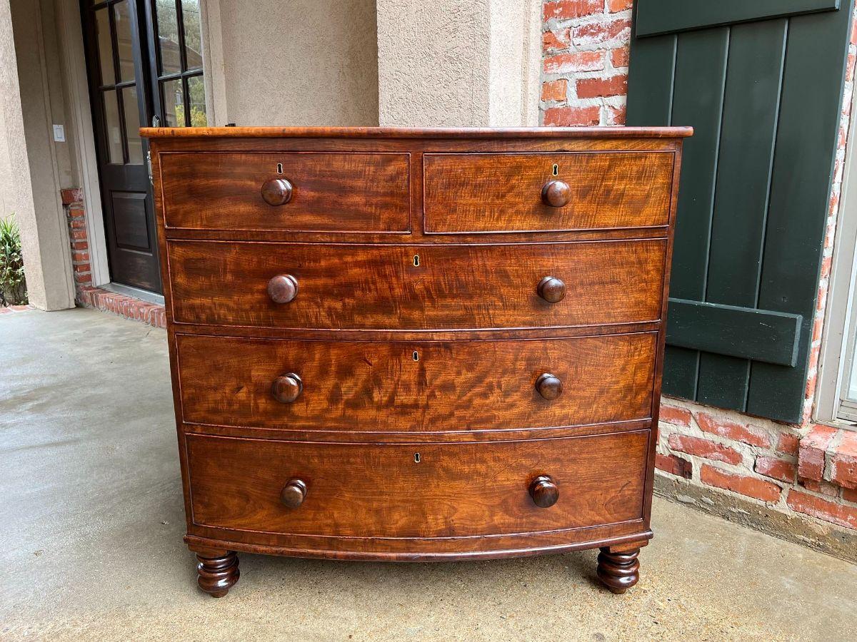 British 19th Century English Chest of Drawers Bow Front Mahogany Victorian Dresser
