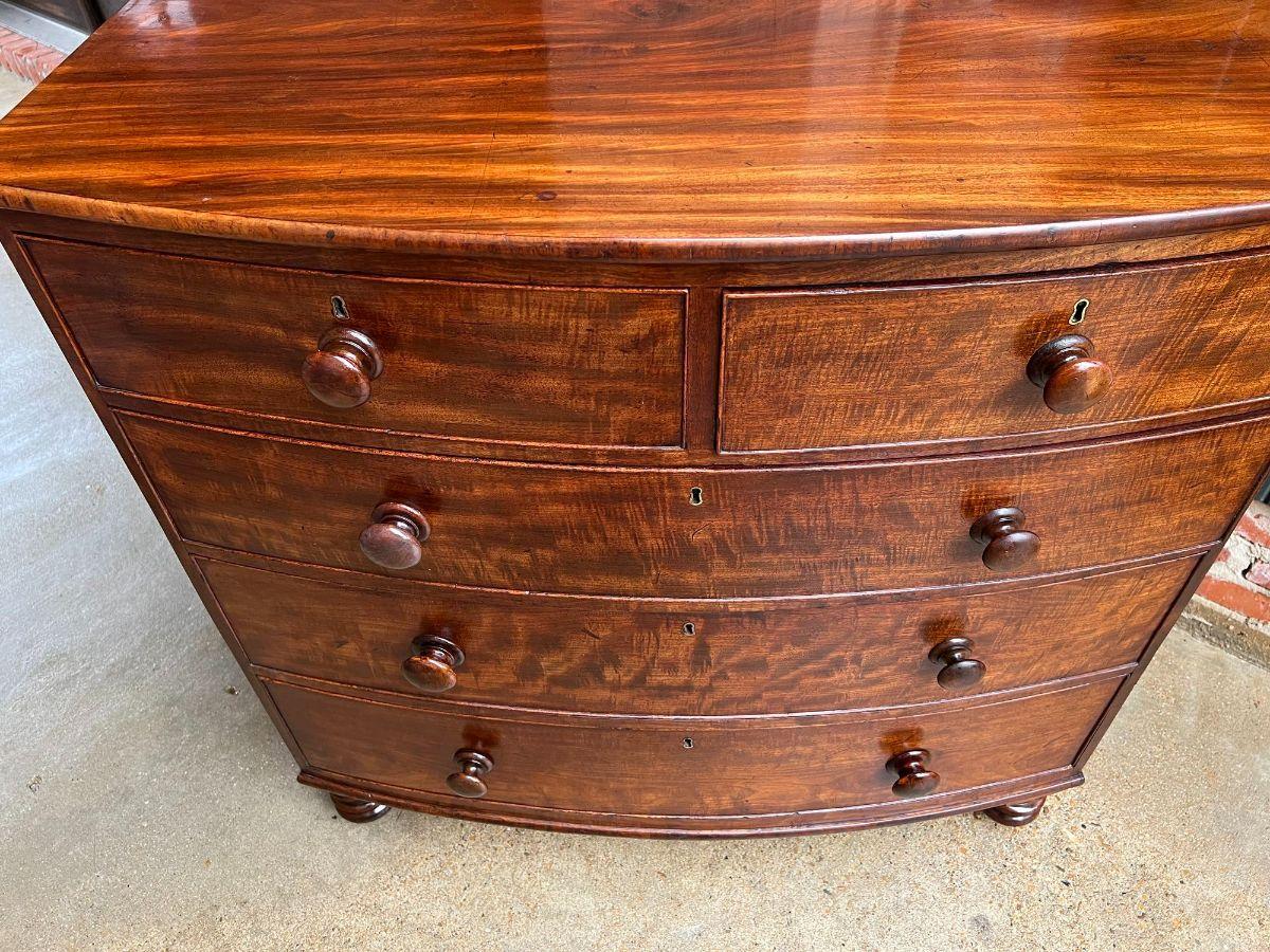 19th Century English Chest of Drawers Bow Front Mahogany Victorian Dresser In Good Condition In Shreveport, LA