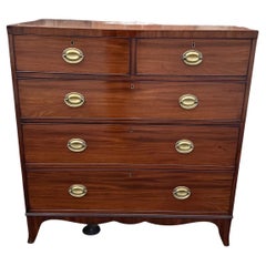 19th Century English Chest of Drawers