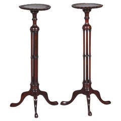 Antique 19th Century English Chippendale Style Pair Tripod Foot Candle Stand / Pedestal