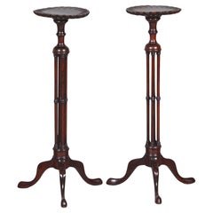 Paire de pieds tripodes de style Chippendale anglais du 19e siècle, Candle Stand / Pedestal