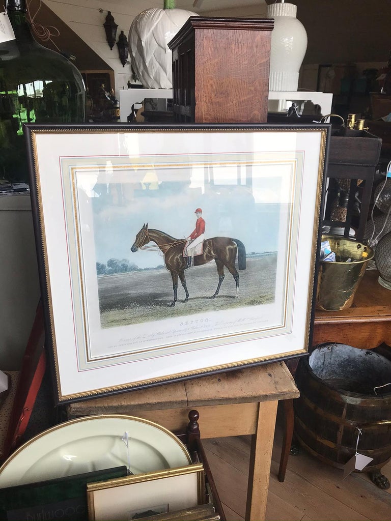 19th Century English Colored Engraving, Sefton the Racehorse and Henry ...