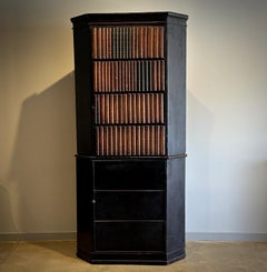 19th Century English Corner Cupboard with Faux Front Panel Door