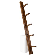 19th Century English Country House Hooks and Saddle Rack