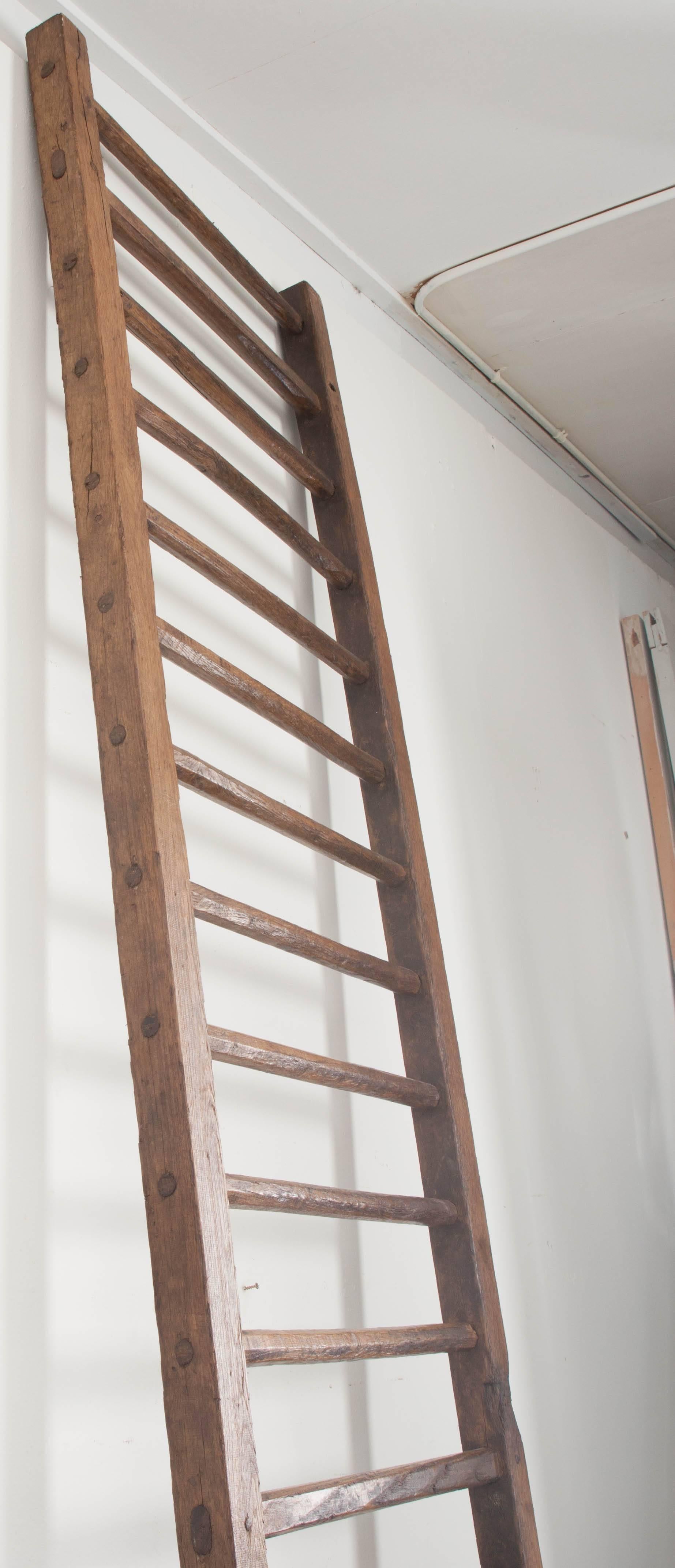 19th Century English Country Ladder 4
