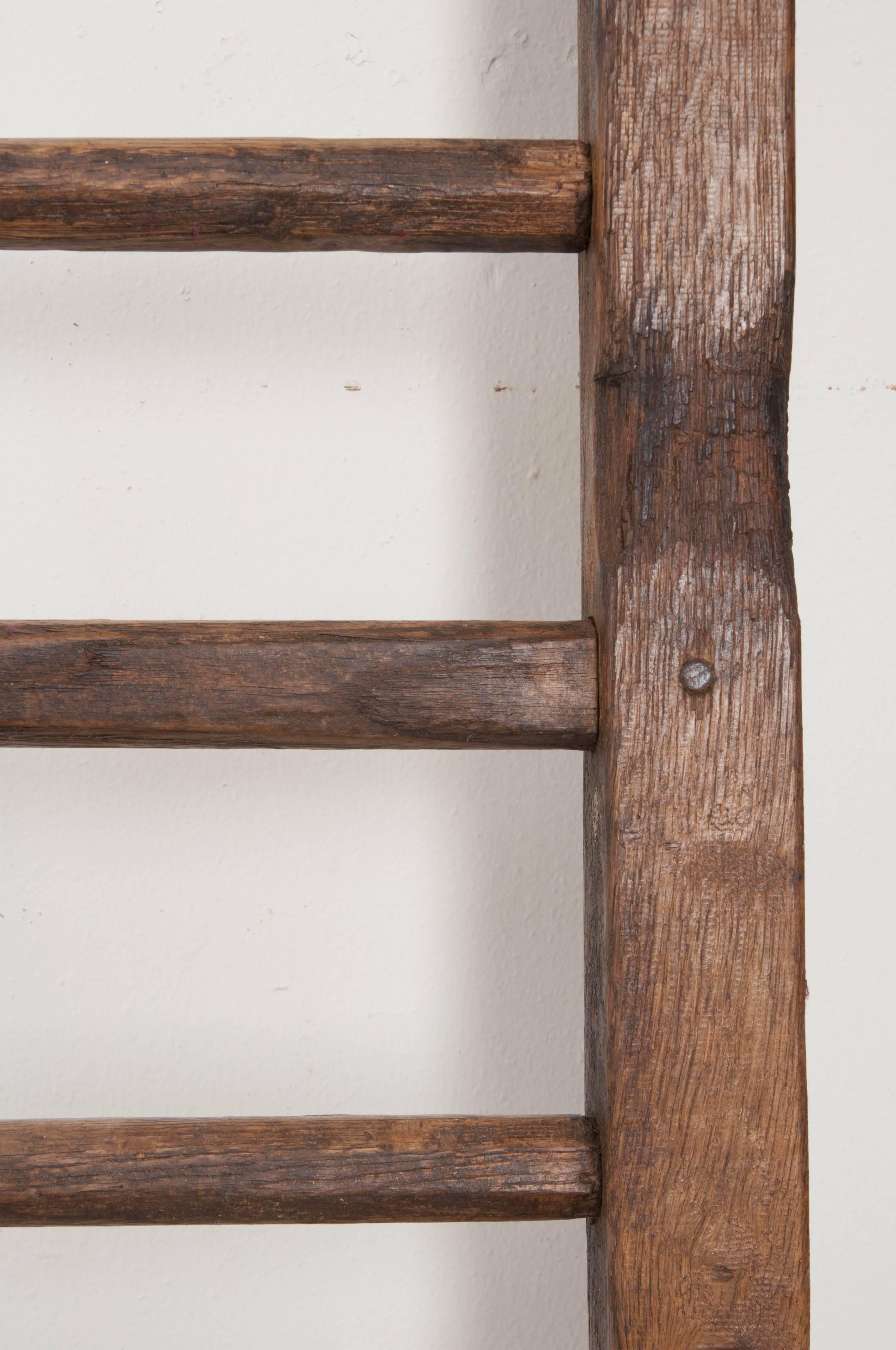 Oak 19th Century English Country Ladder