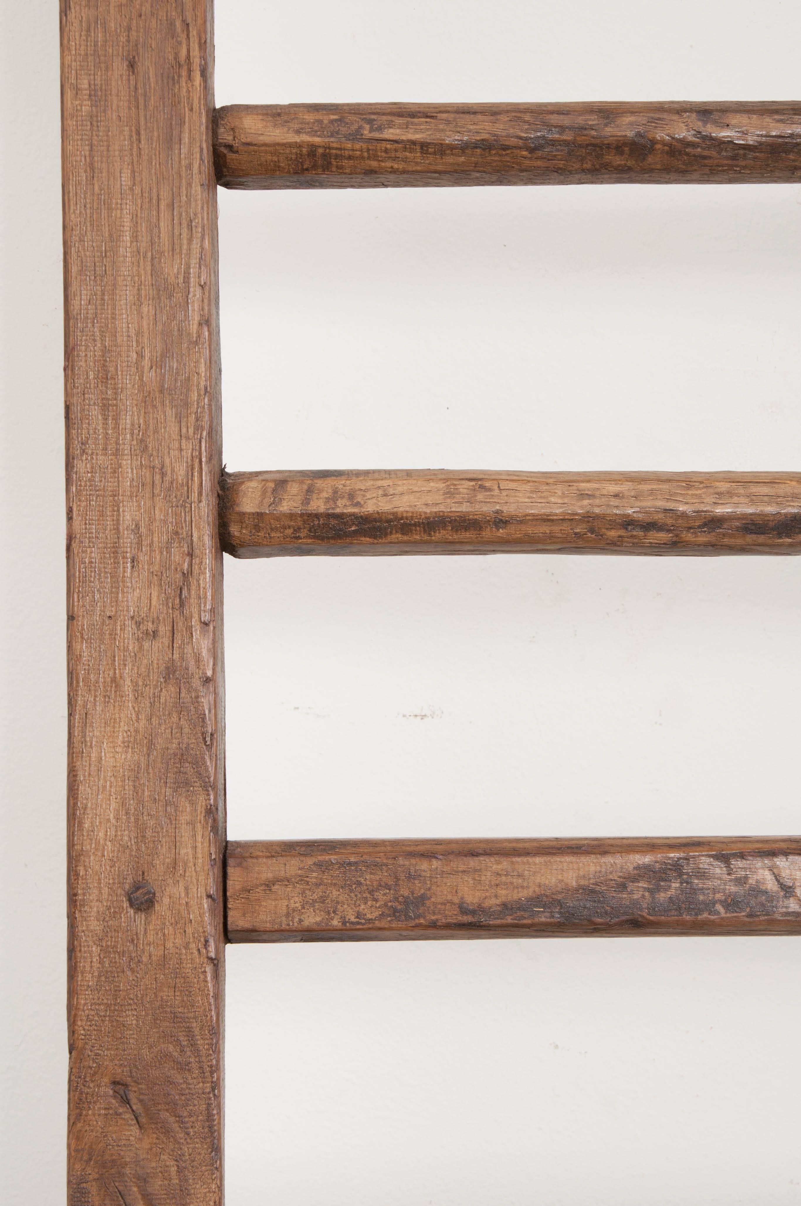 19th Century English Country Ladder 1