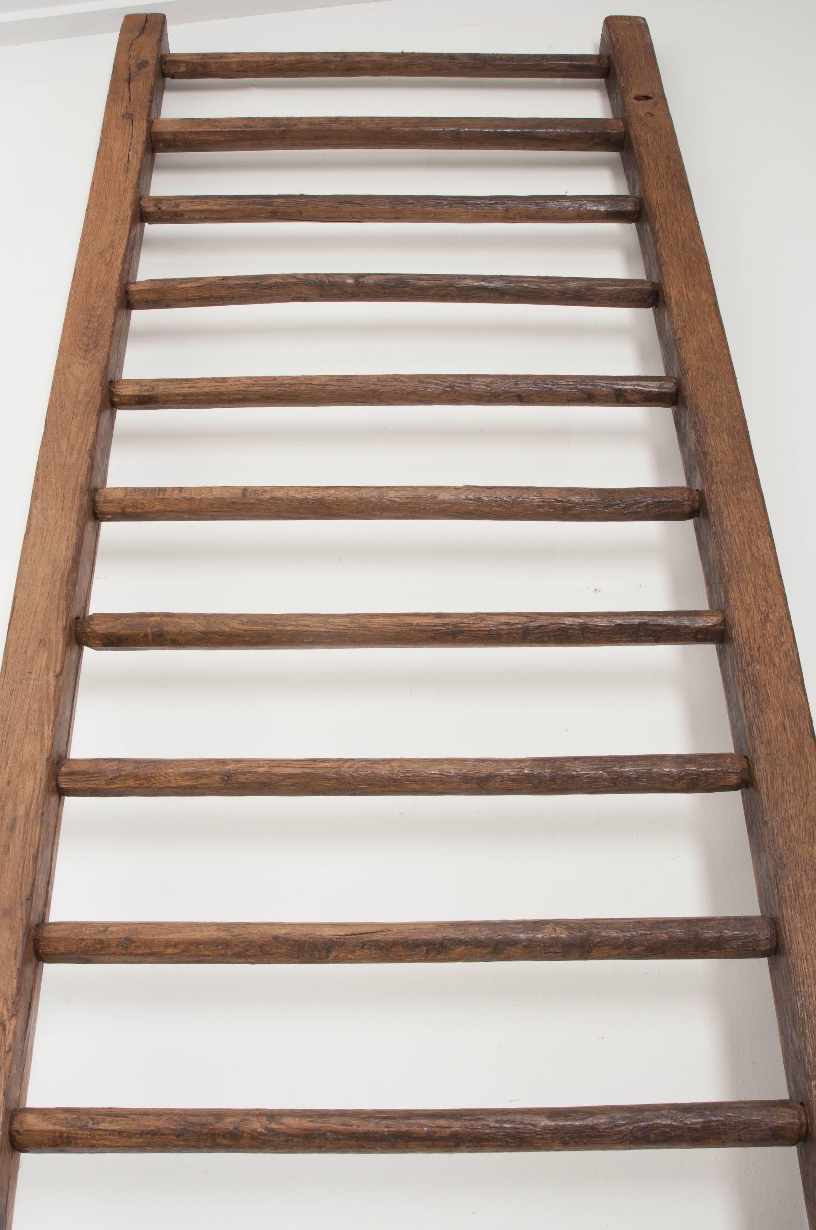19th Century English Country Ladder 2