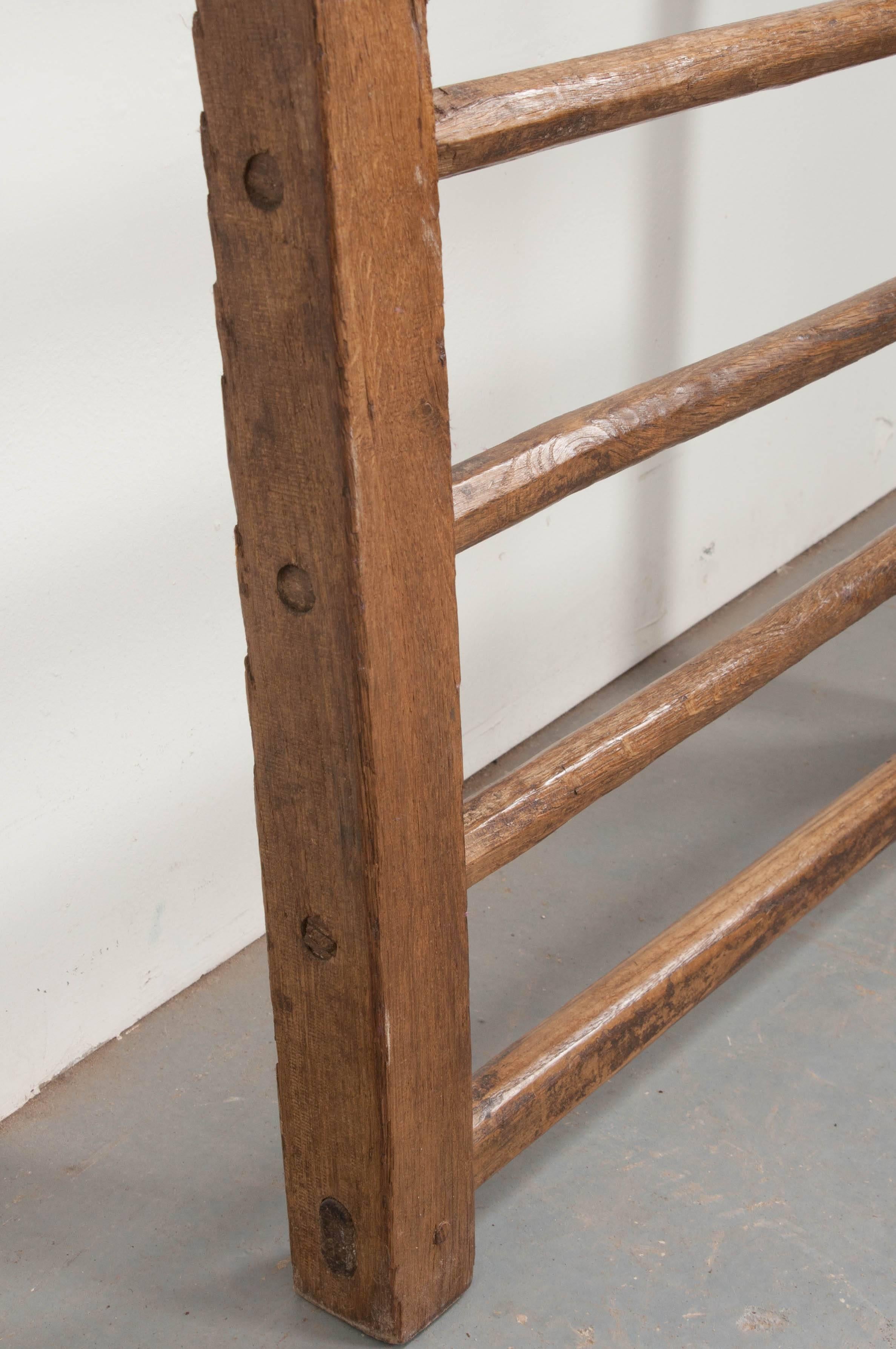 19th Century English Country Ladder 3