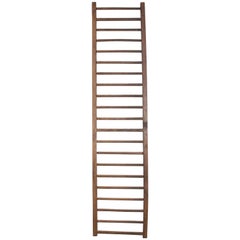 19th Century English Country Ladder