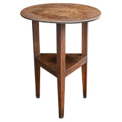 19th Century English Cricket Table