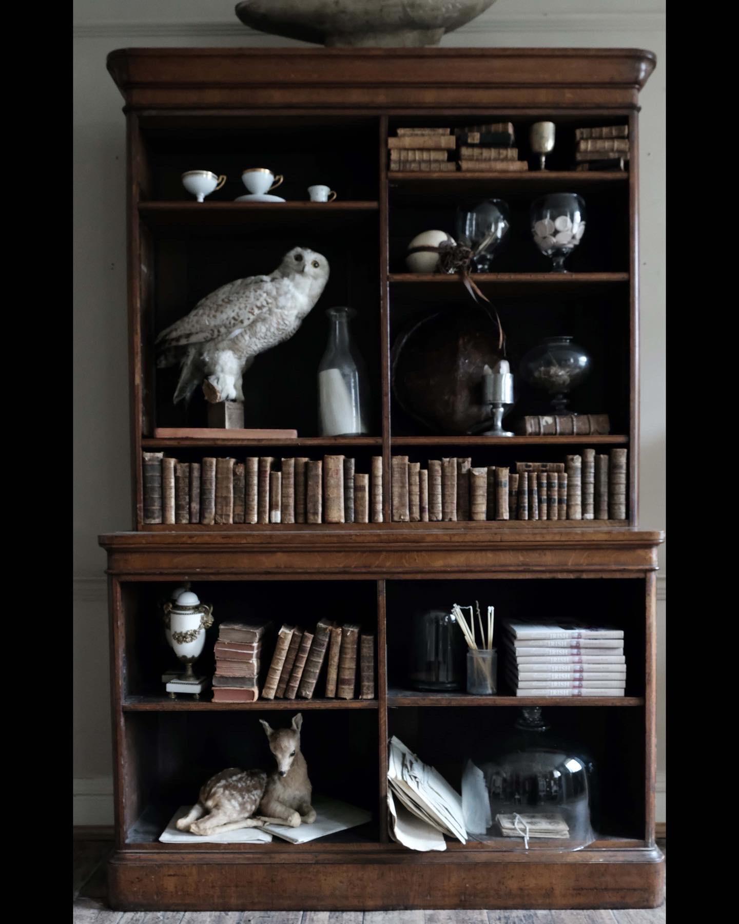 19th Century English Display Bookcase For Sale 3