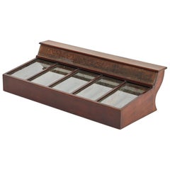 19th Century English Display Case in Mahogany