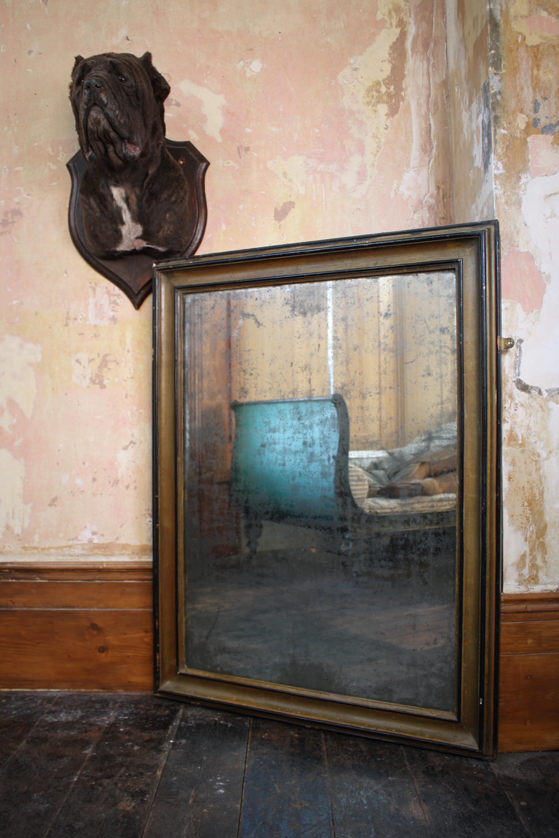 A late 19th century mirror, housed in its original deep carved pine frame.

The mirror was likely from a retail space or the like, the frame has its original pine backing and has been re gilt some time ago. The original gilt work is visible in