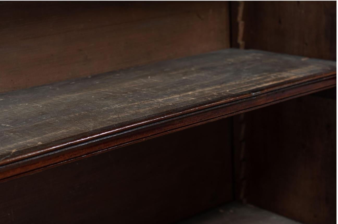 19th Century English Ebonized Mahogany Arched Glazed Bookcase 10
