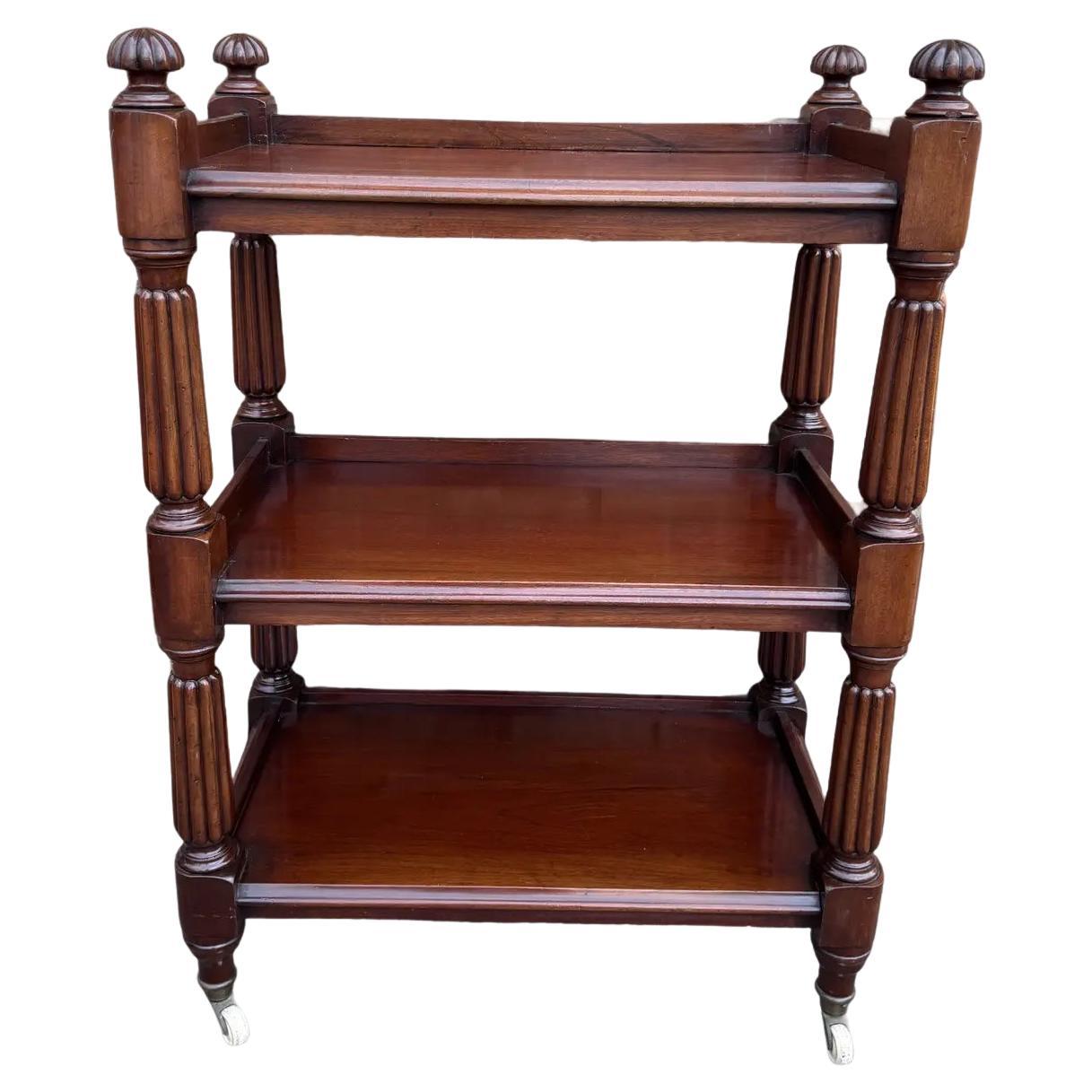 19th Century English Etagere /Trolley
