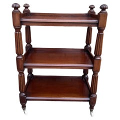 Used 19th Century English Etagere /Trolley