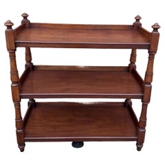 19th Century English Etagere / Trolley