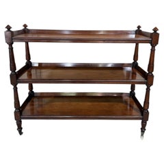 19th Century English Etagere Trolley