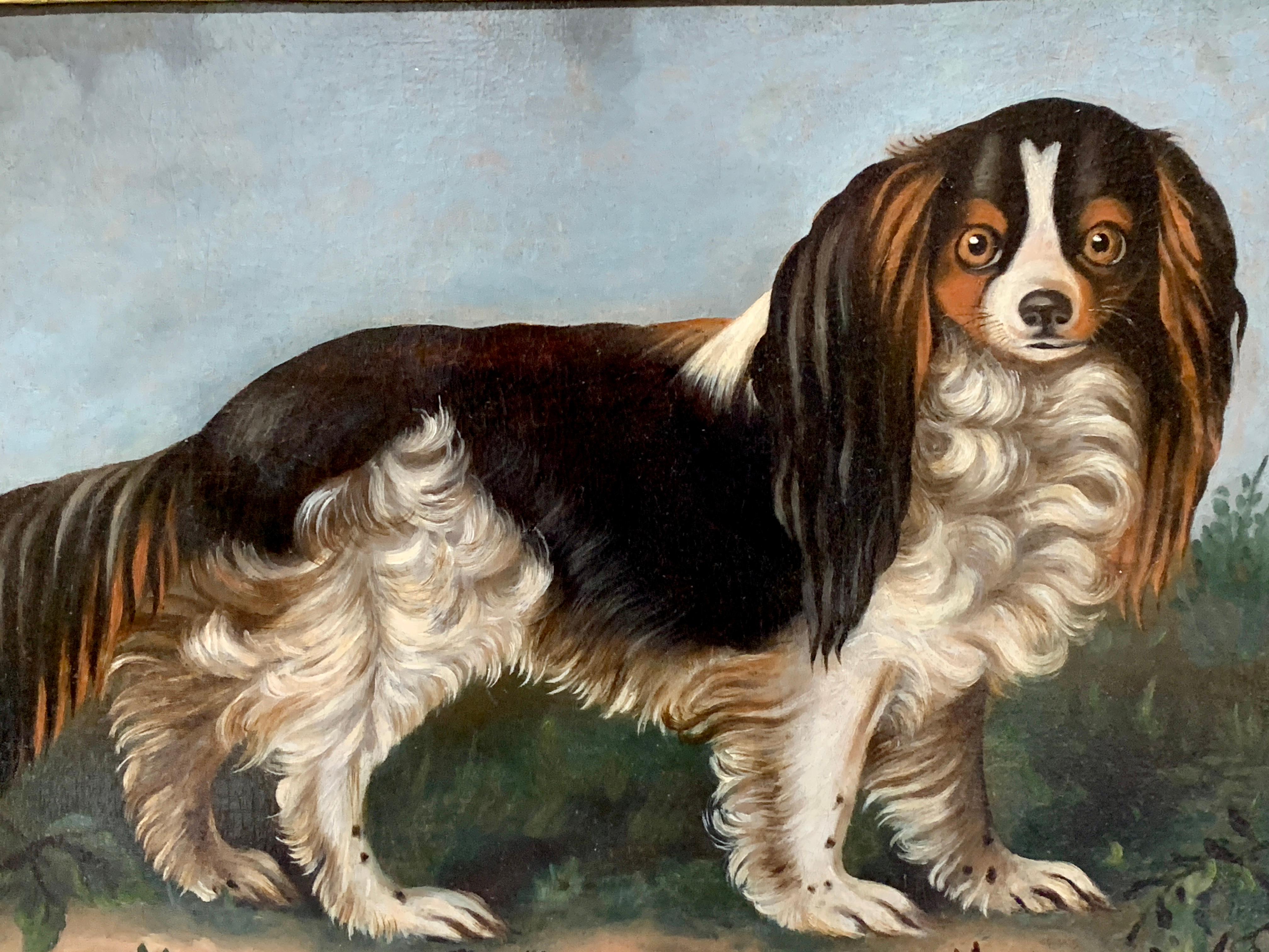19th century English folk art portrait of a King Charles Cavalier Spaniel dog  - Painting by Unknown