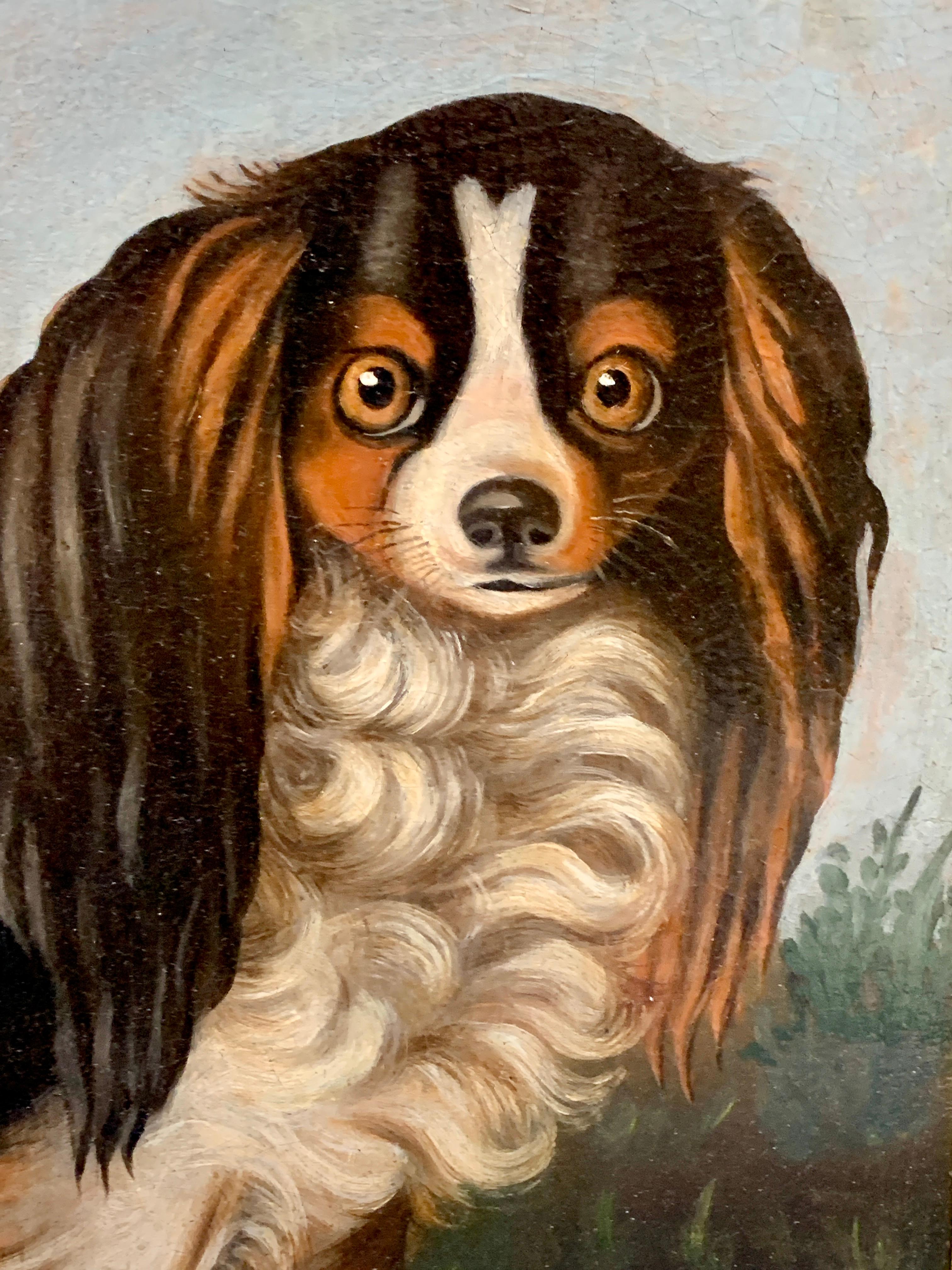 cavalier king charles oil painting