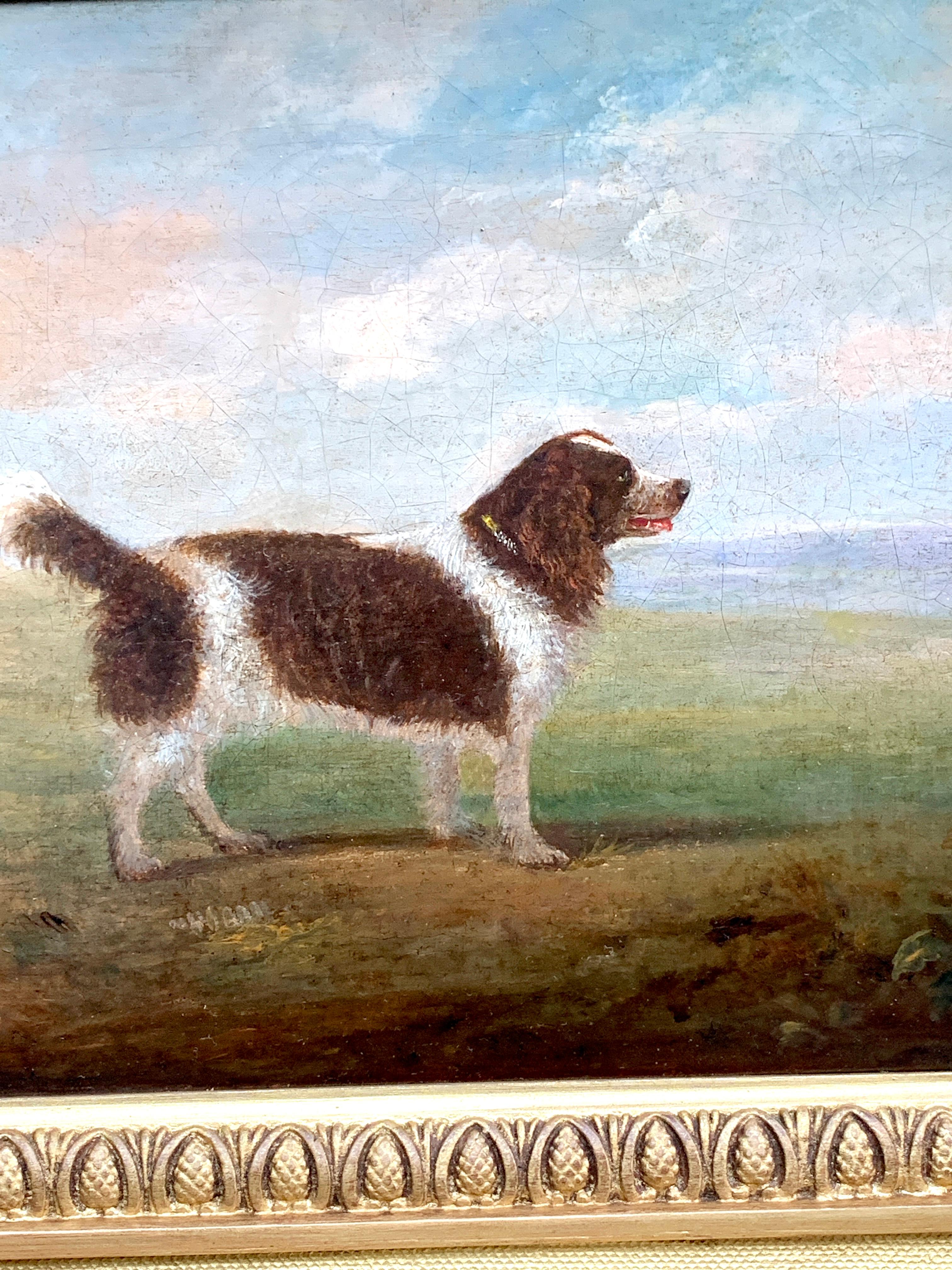 Antique 19th century English Folk Art Spaniel dog portrait in a landscape - Painting by Unknown