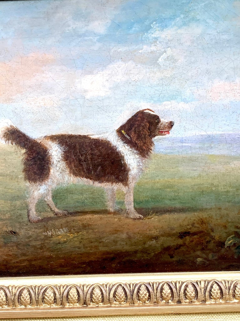 Antique 19th century English Folk Art Spaniel dog portrait in a landscape - Painting by 19th Century English Folk art
