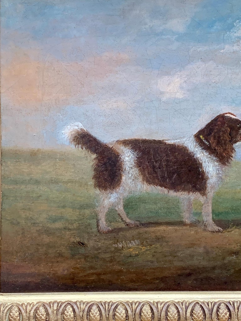 Antique 19th century English Folk Art Spaniel dog portrait in a landscape.

Very cute English Folk Art portrait of a standing Spaniel in a landscape.

Oils on canvas this piece has all the charm and quality associated with the English folk painters