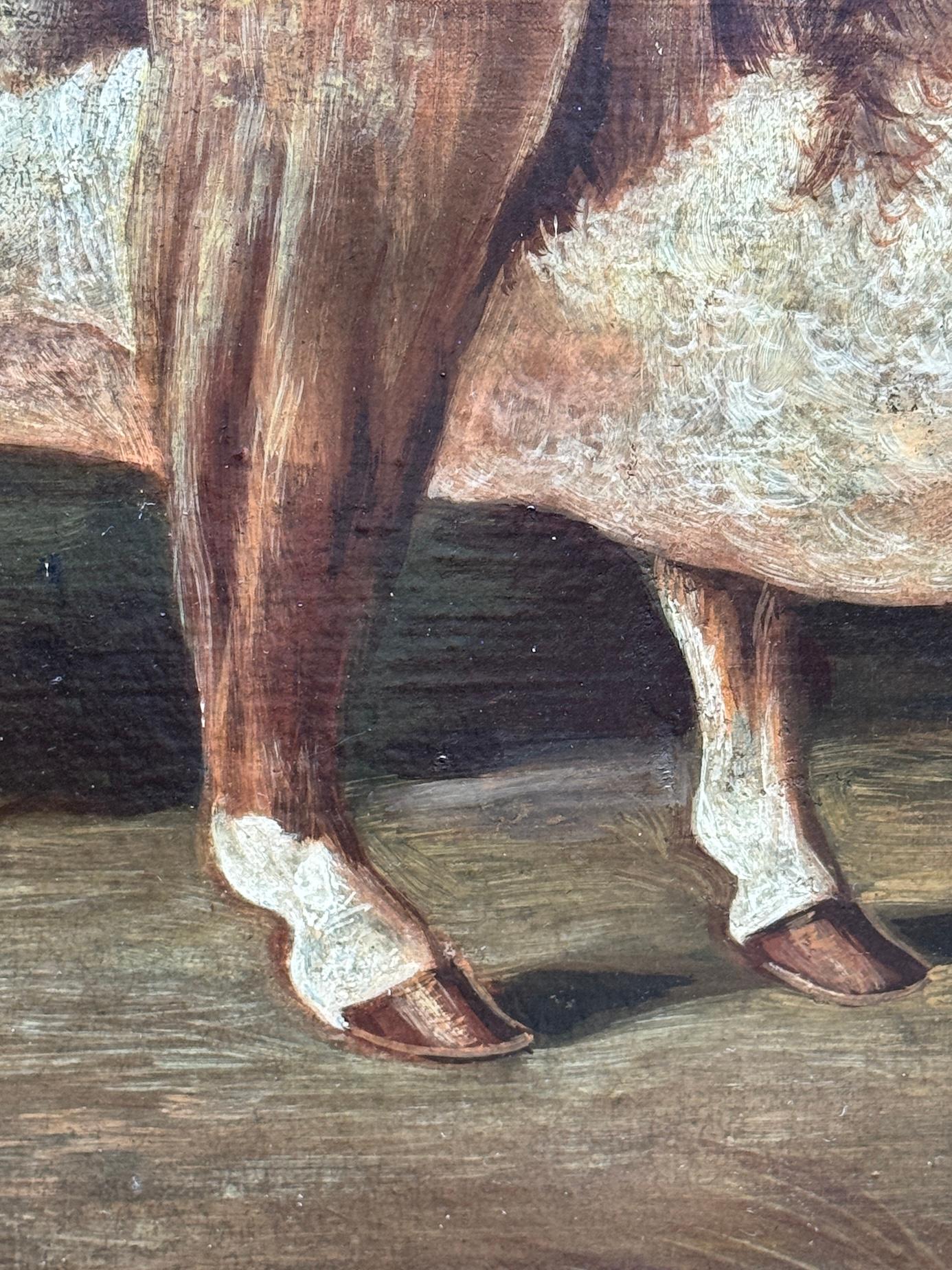19th Century English Folk Art portrait of a Bull in Maple frame - Painting by 19th century English Folk Art School