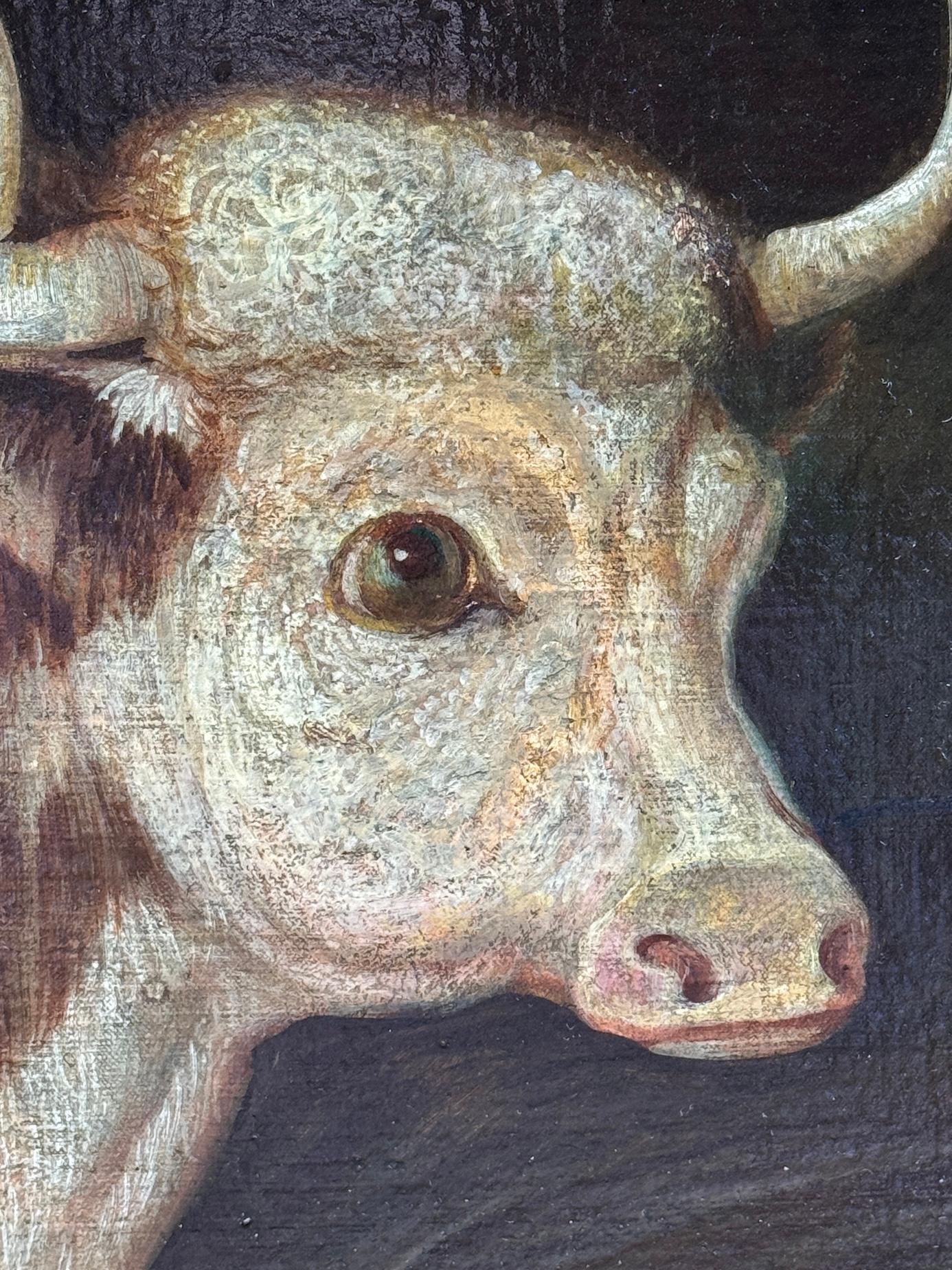 19th Century English Folk Art portrait of a Bull in Maple frame - Brown Animal Painting by 19th century English Folk Art School