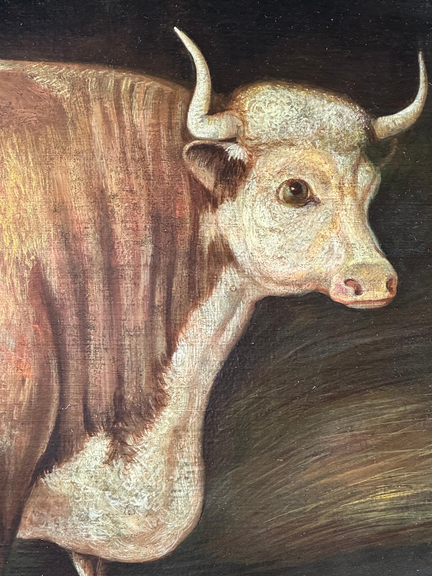 19th Century English Folk Art portrait of a Bull in Maple frame For Sale 3