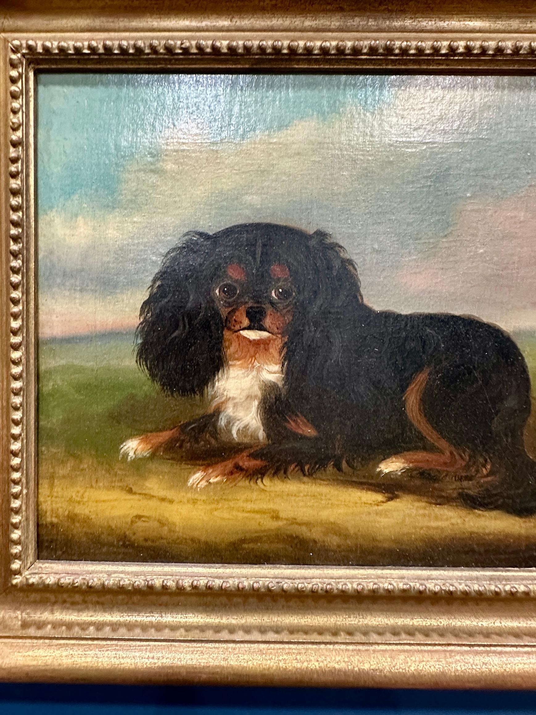 19th century English Folk Art  portrait of a seated King Charles Cavalier dog - Painting by 19th century English Folk Art School