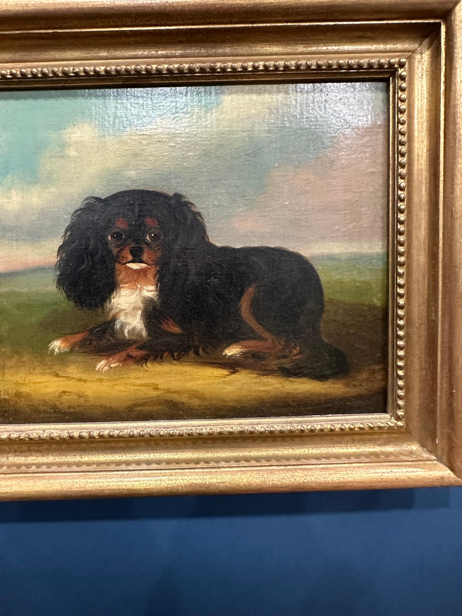 19th Century English Folk Art School
Portrait of a Cavalier King Charles Spaniel
Oil on canvas, 13 x 15 inches
Provenance: Iona Antiques

This charming 19th century English Folk Art portrait depicts a small Cavalier King Charles Spaniel reclining on