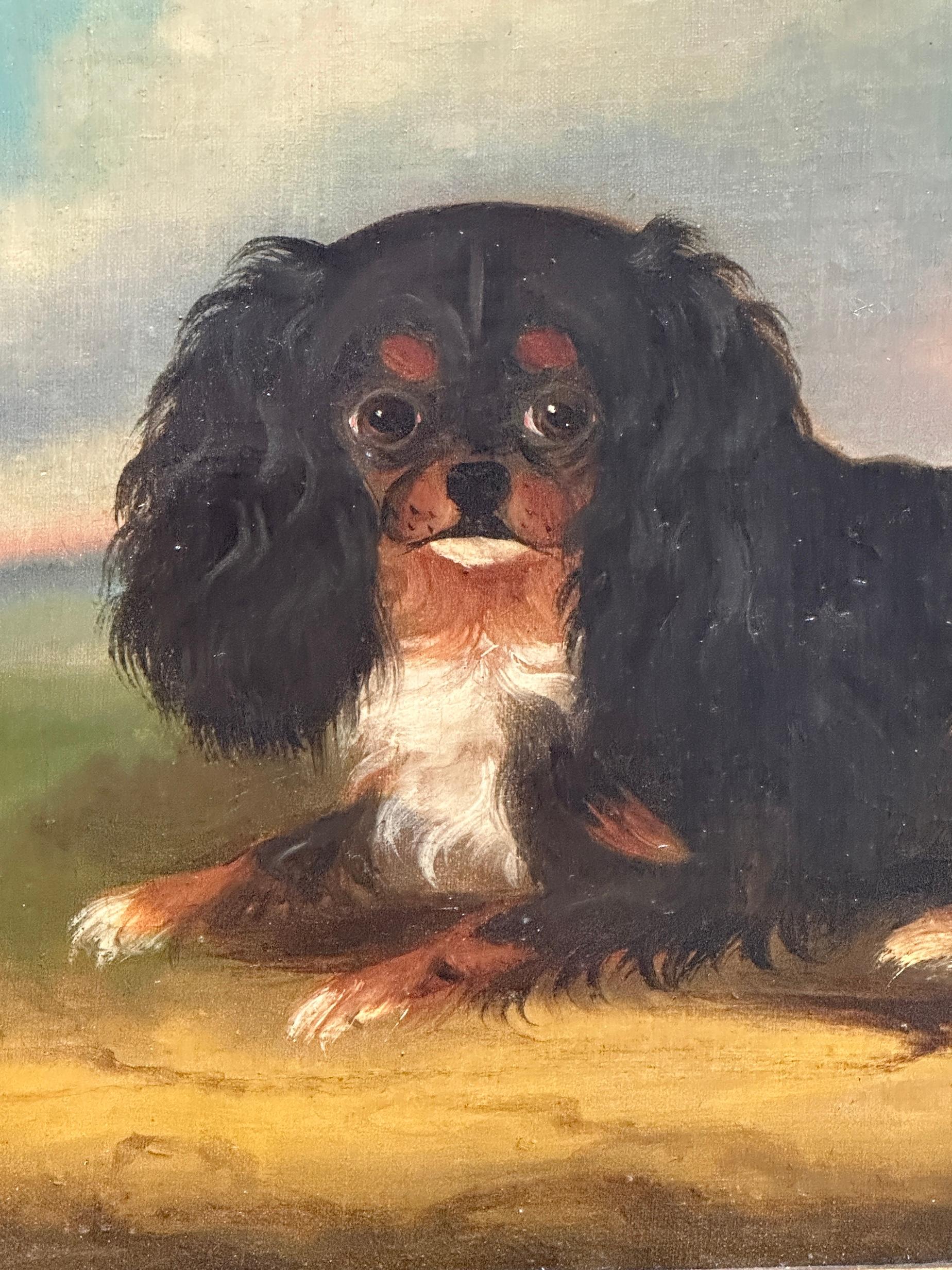19th century English Folk Art  portrait of a seated King Charles Cavalier dog For Sale 2